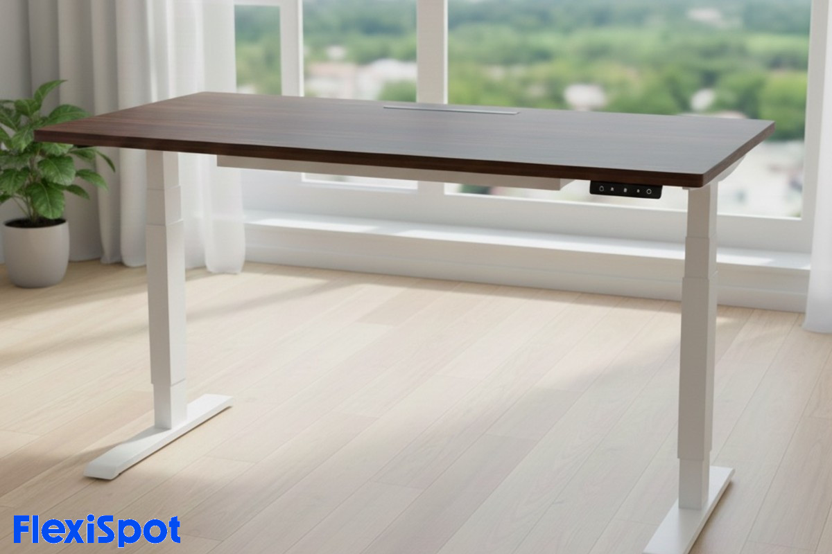 FlexiSpot E7 Plus Standing Desk Review: 8 Months of Daily Use