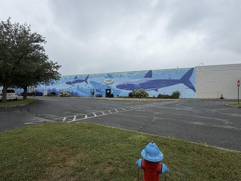 VIA Aquarium — July 19, 2026