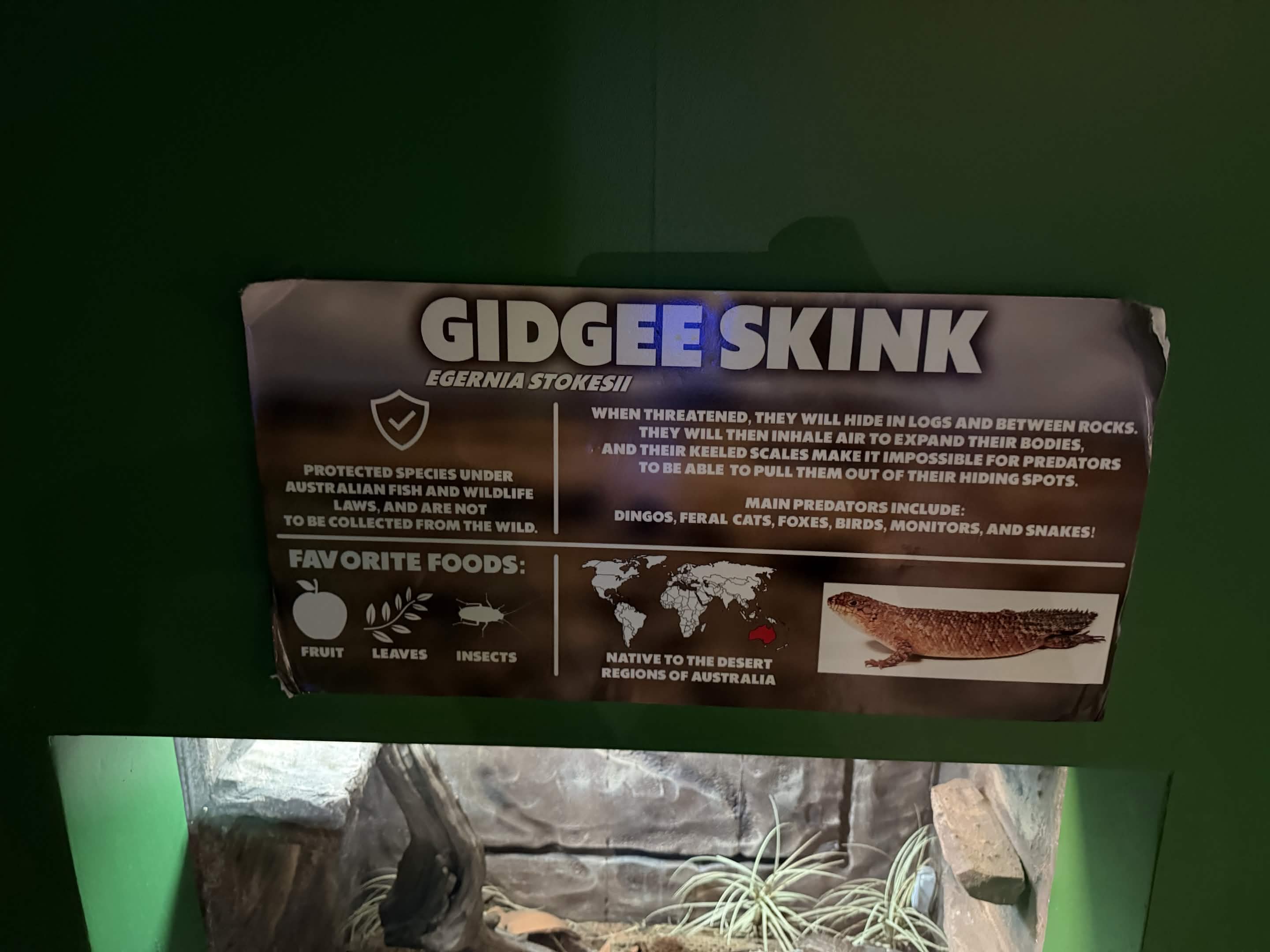 VIA Aquarium photo