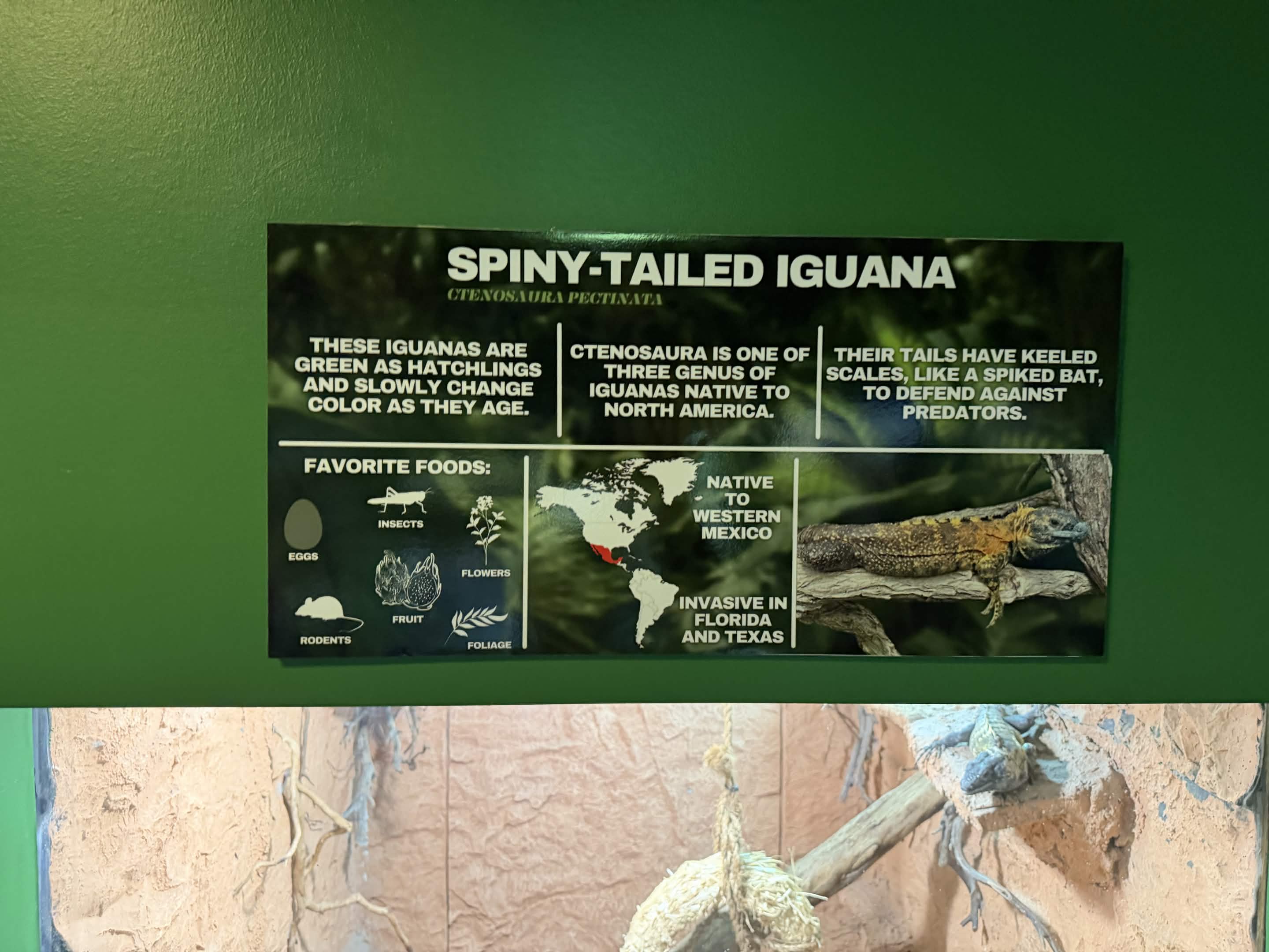 VIA Aquarium photo
