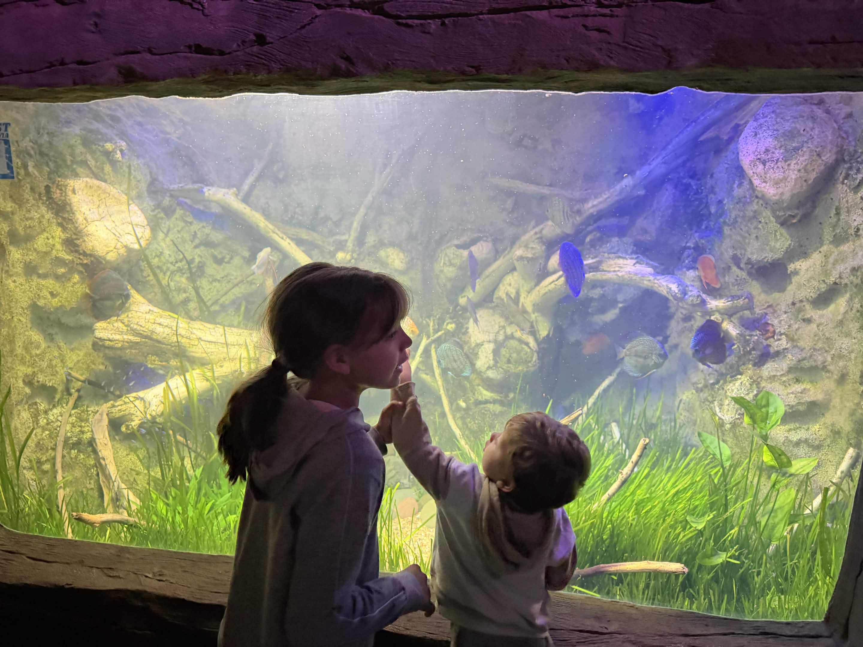 VIA Aquarium photo