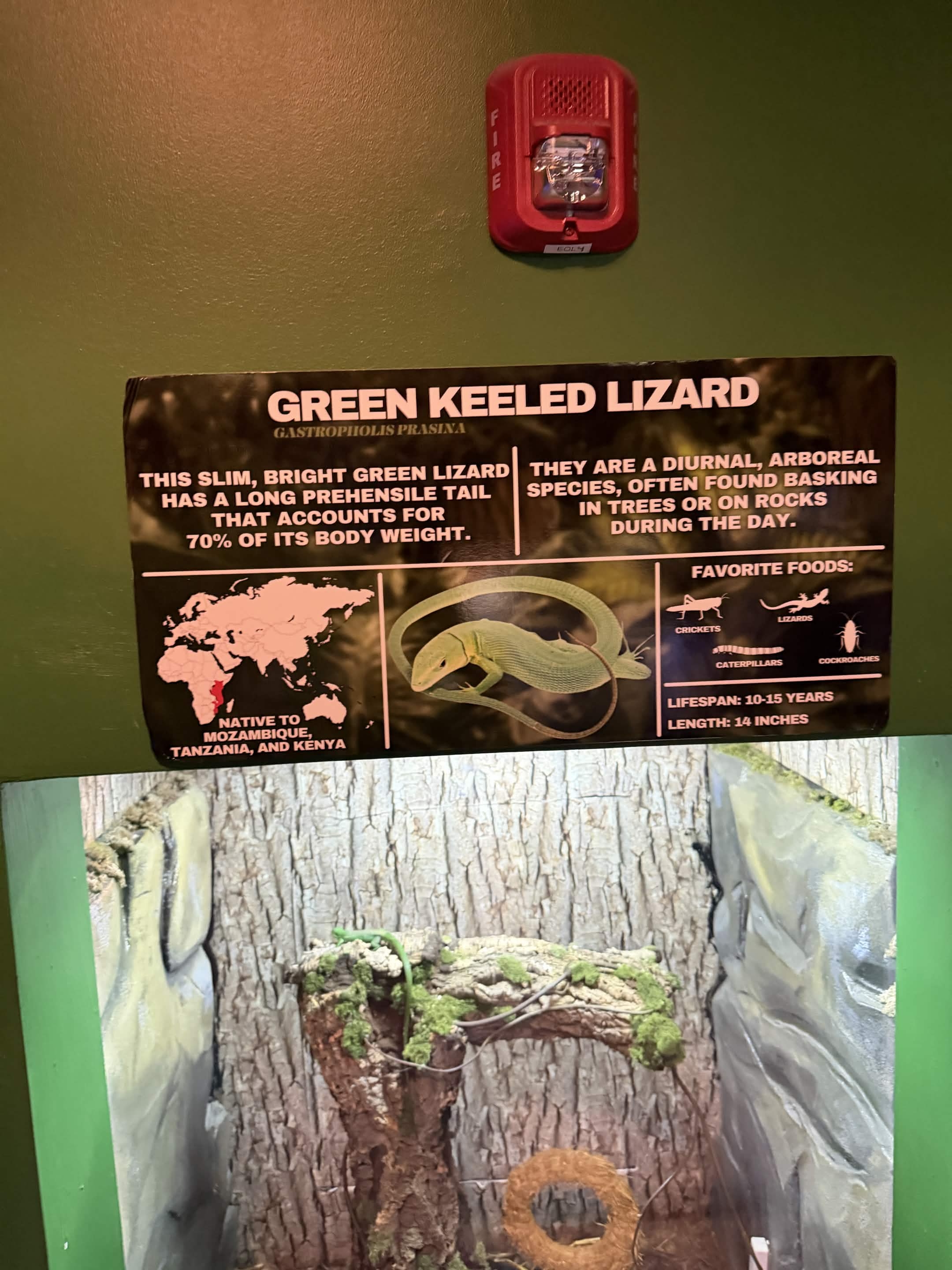 VIA Aquarium photo