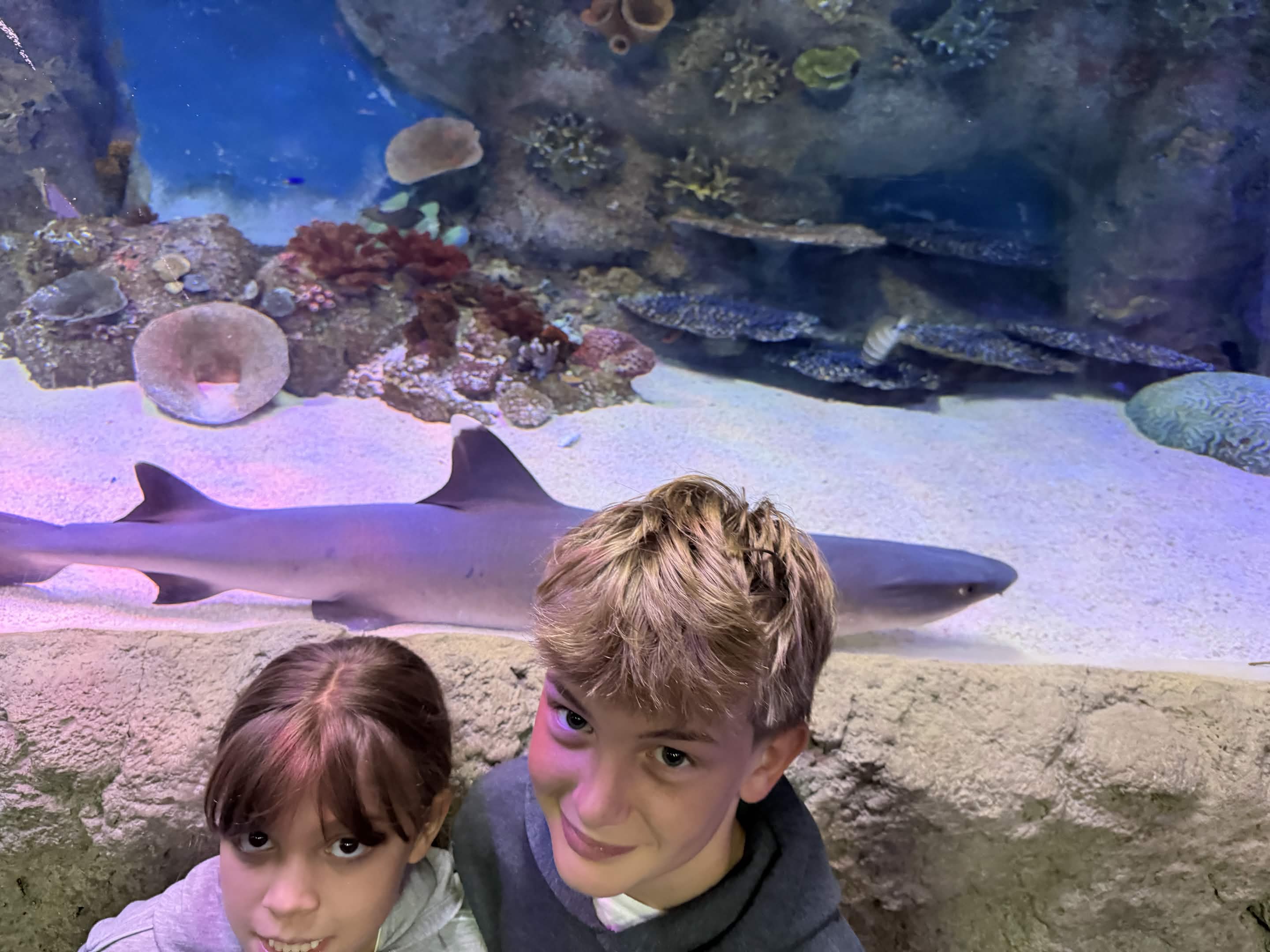 VIA Aquarium photo