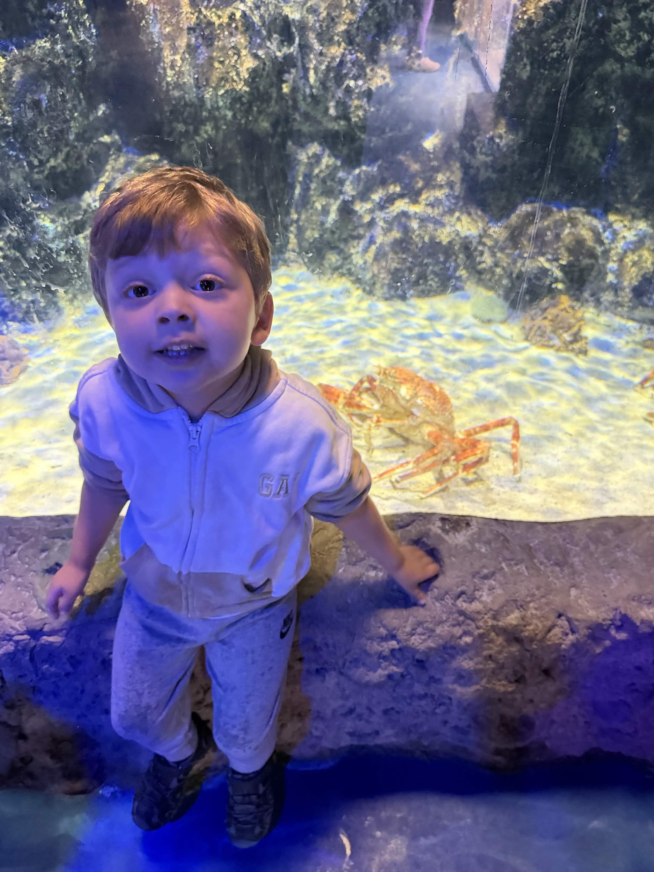 VIA Aquarium photo