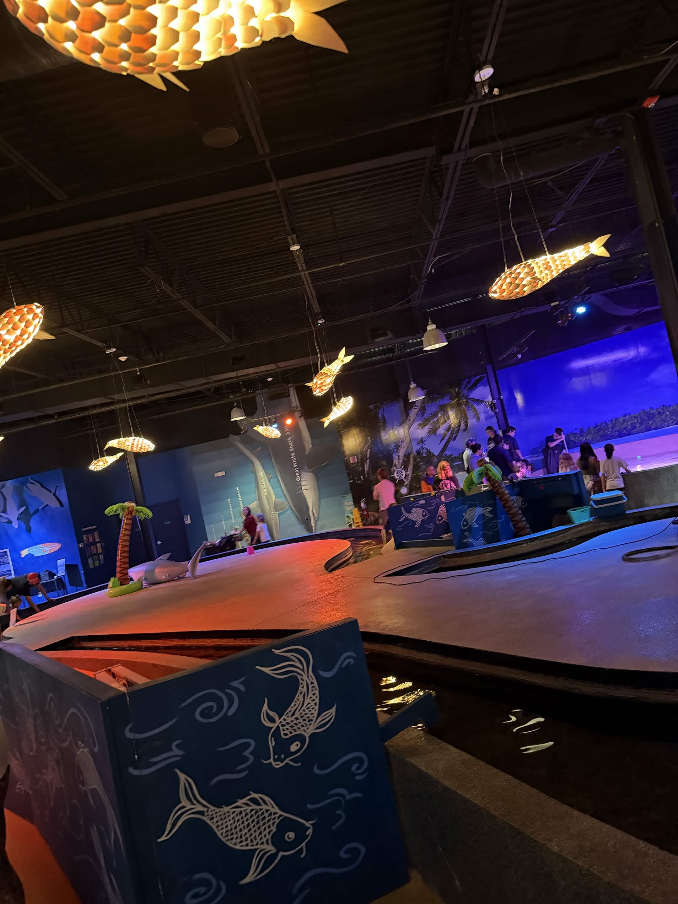 VIA Aquarium photo