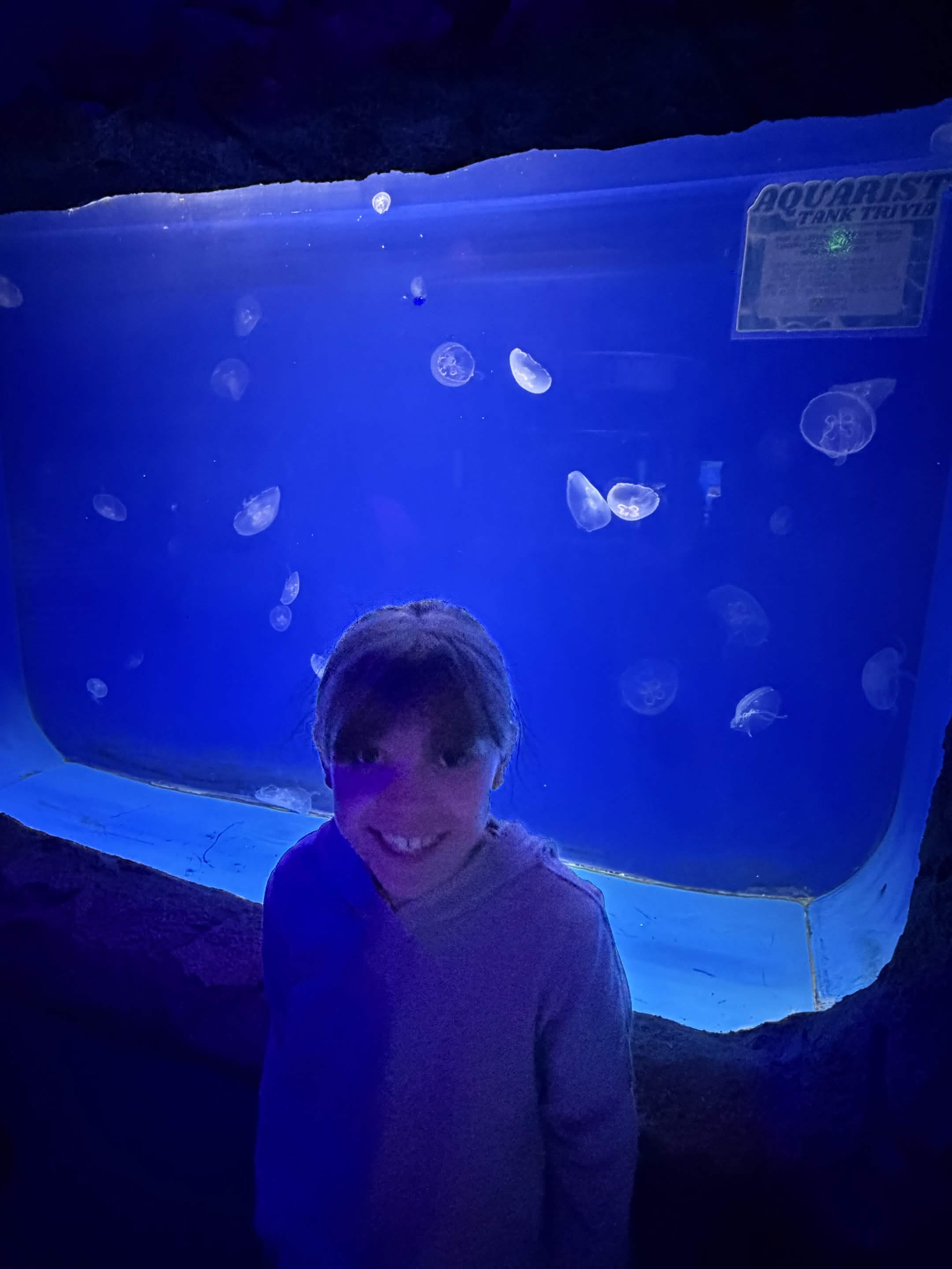 VIA Aquarium photo