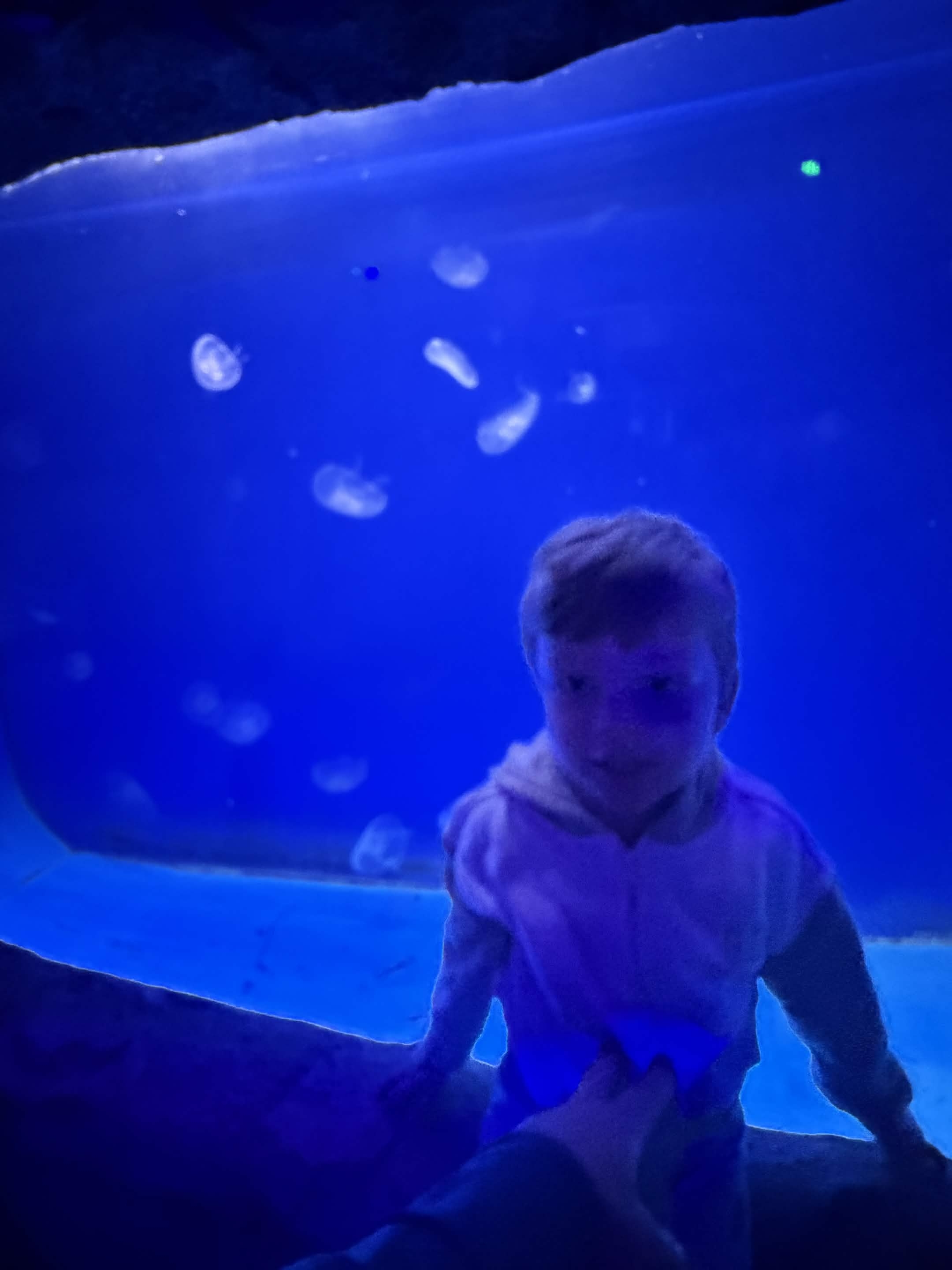 VIA Aquarium photo