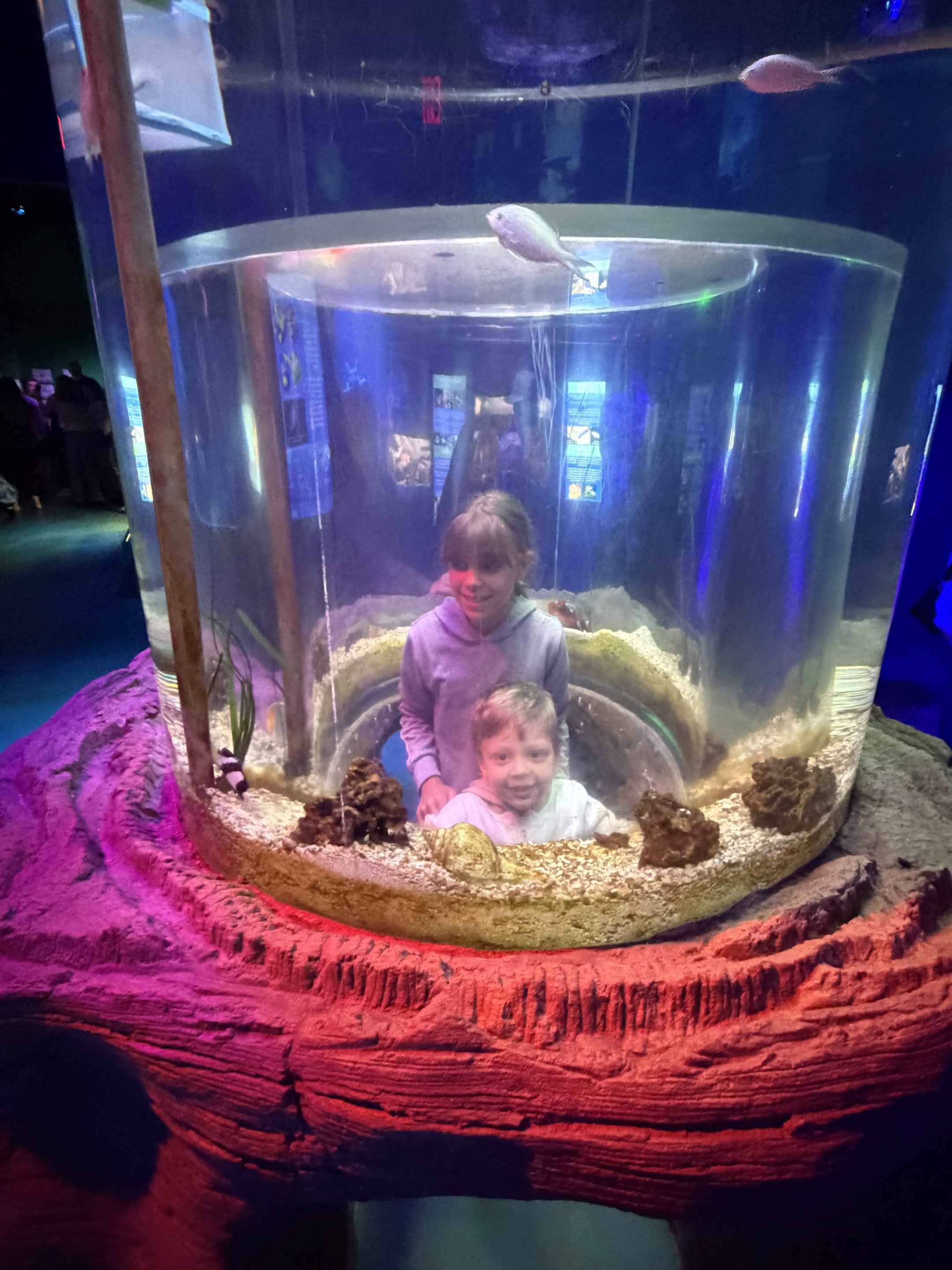VIA Aquarium photo