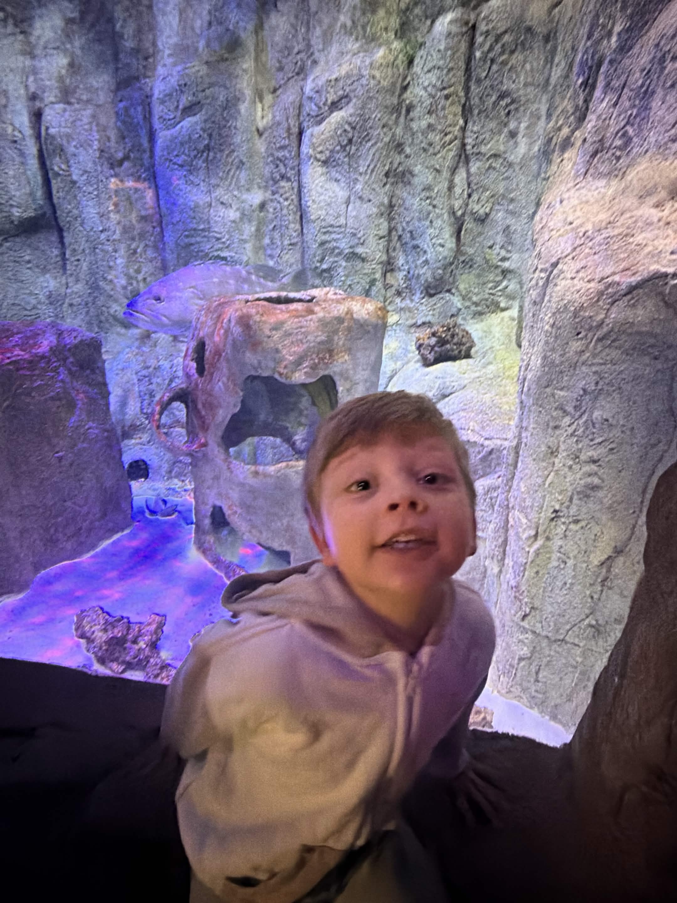 VIA Aquarium photo