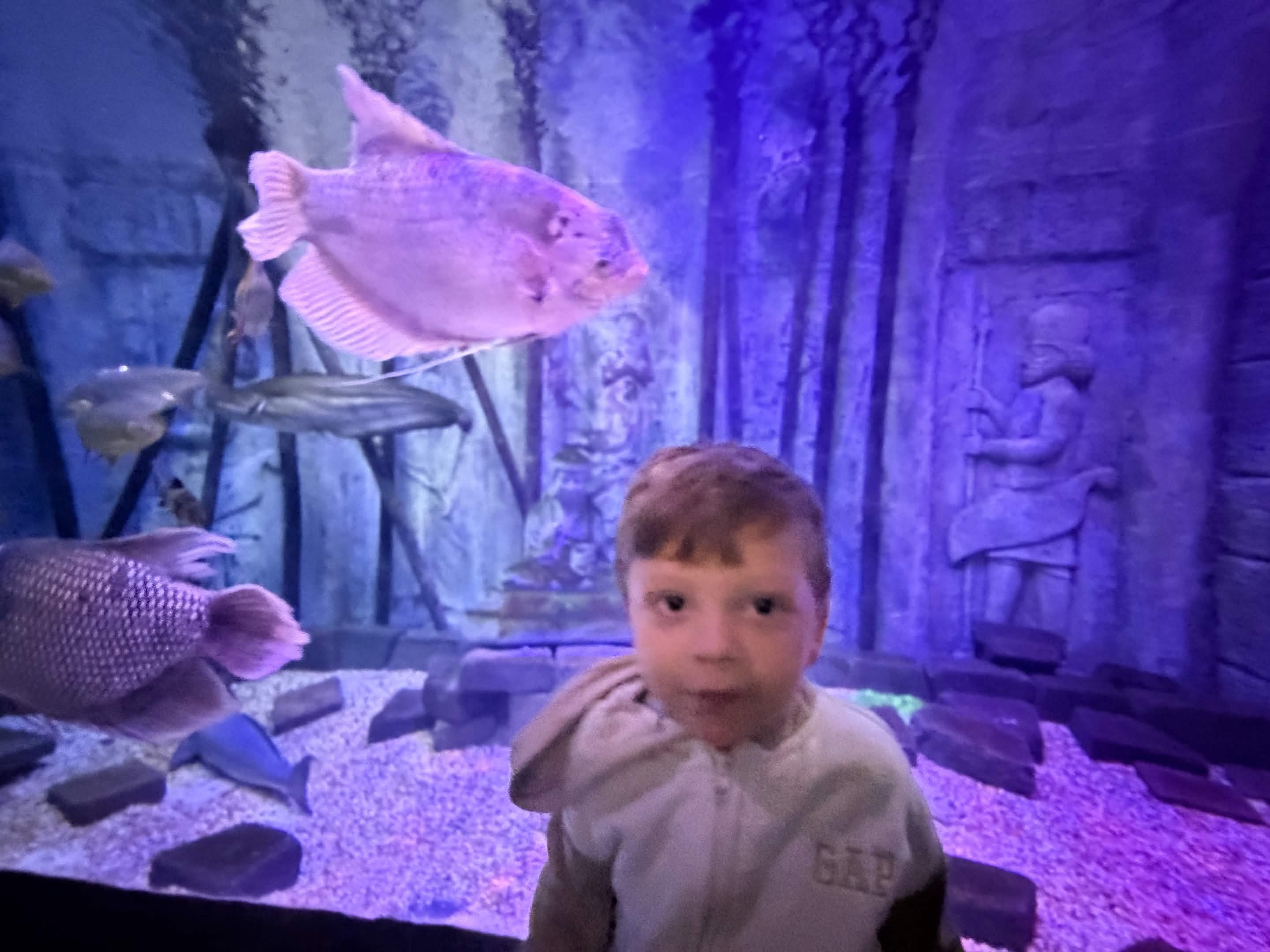 VIA Aquarium photo