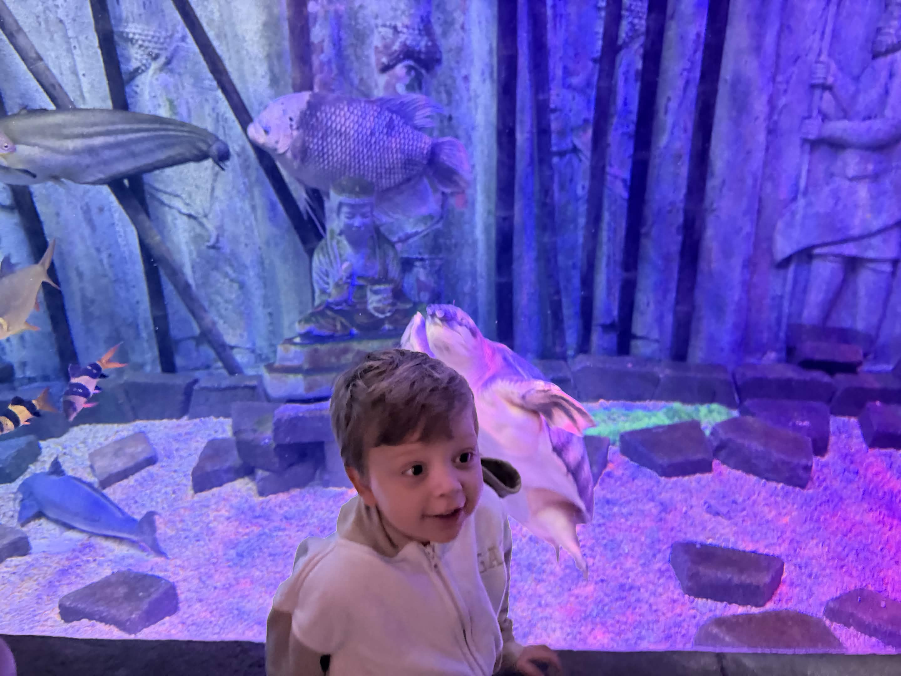 VIA Aquarium photo