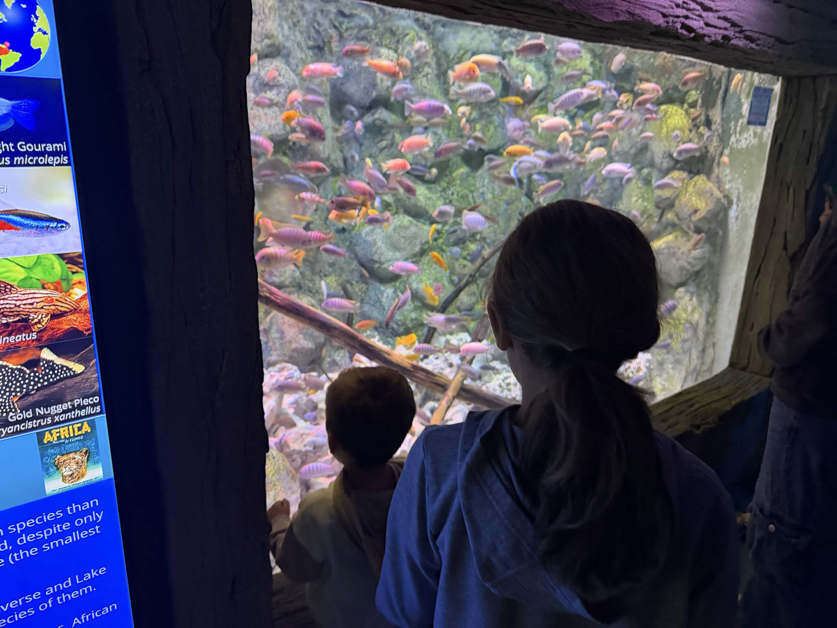 VIA Aquarium photo