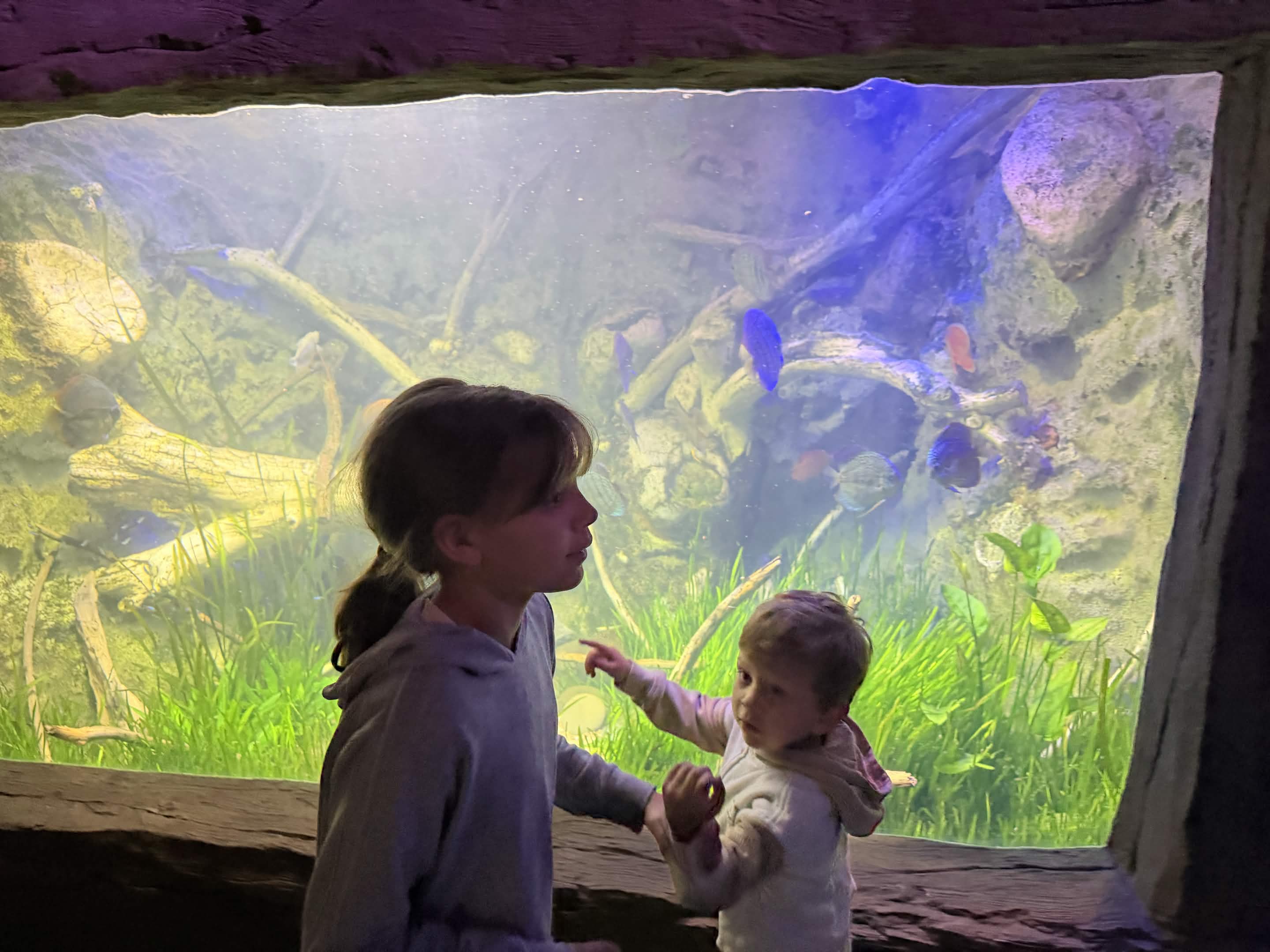 VIA Aquarium photo