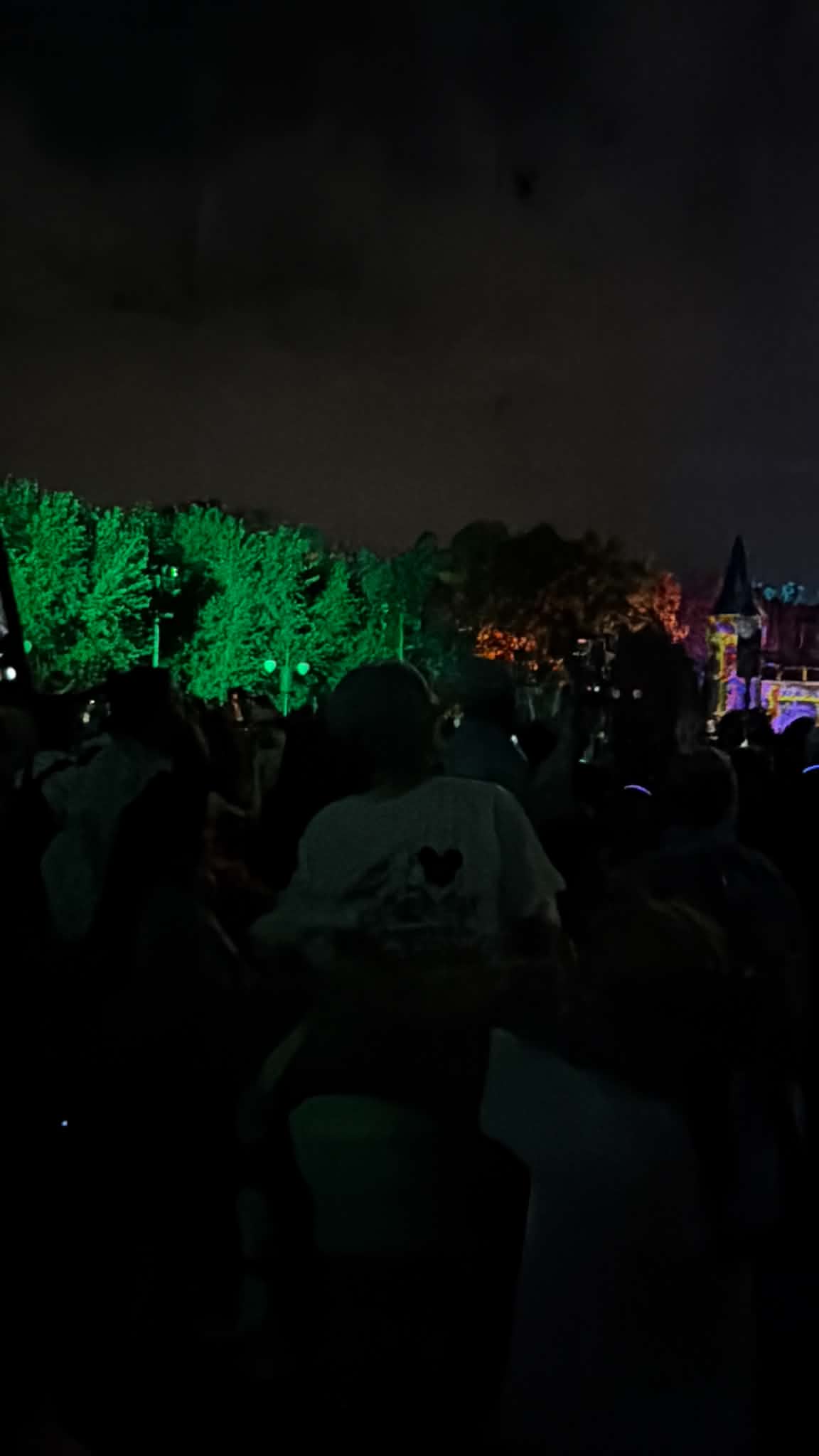 Crowd gathered watching the nighttime show at Magic Kingdom