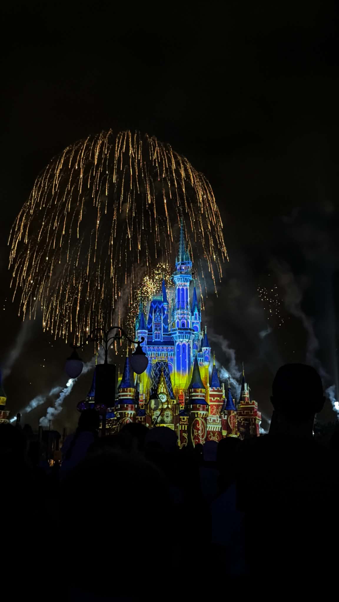Golden willow fireworks cascading over Cinderella Castle